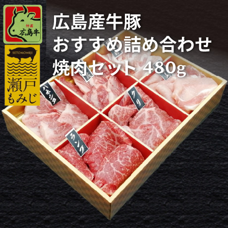広島牛豚おすすめ詰め合わせセット480g