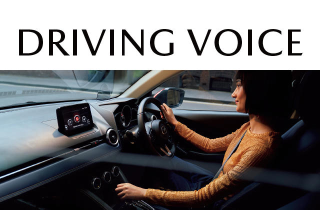 DRIVING VOICE